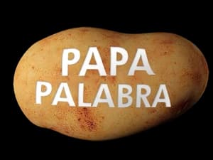 wordspud
